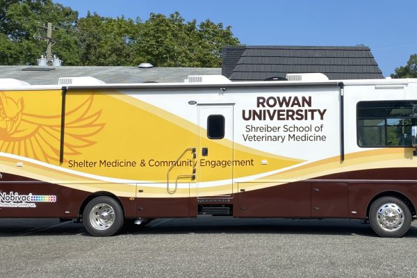 DesignerWraps_Rowan_RVwrap_jpg